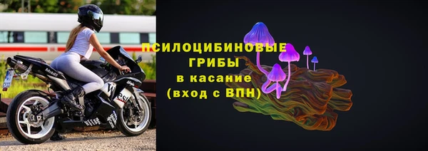 трава Абаза
