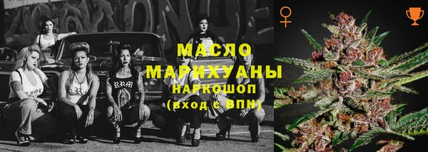 эйфоретик Няндома