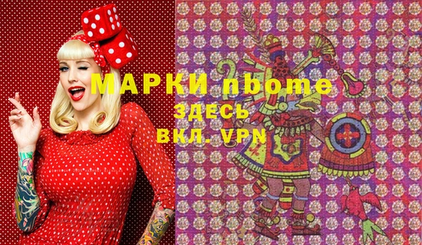 эйфоретик Няндома