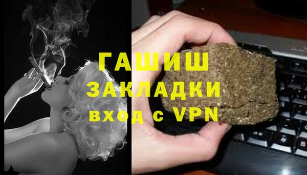 трава Абаза