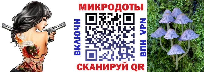 Галлюциногенные грибы Cubensis  закладка  Абаза 